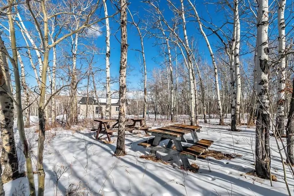322253 112 Street W Rural Foothills County AB T1S 5H9
