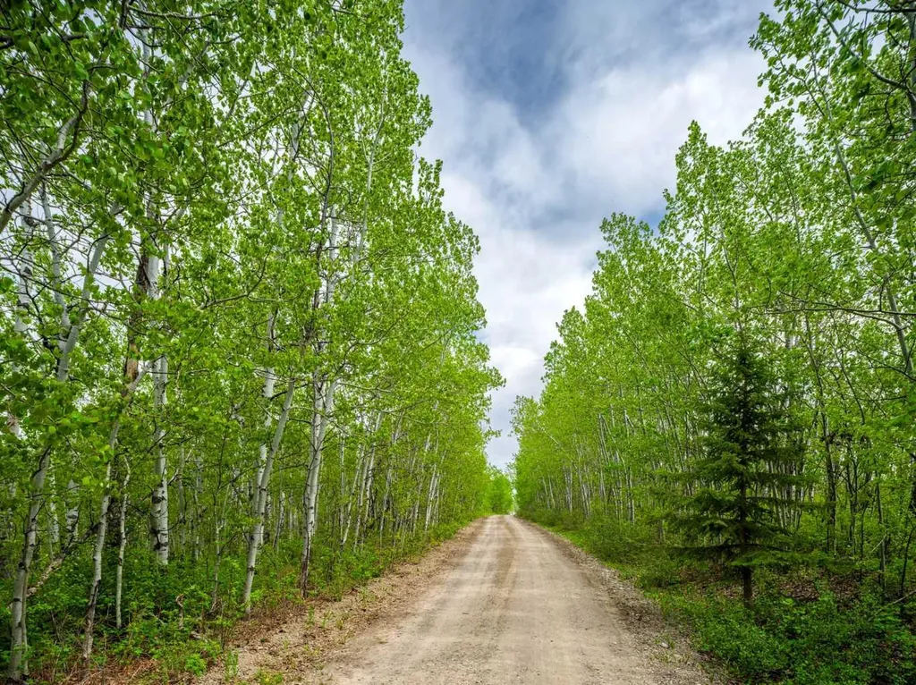 322253 112 Street W Rural Foothills County AB T1S 5H9