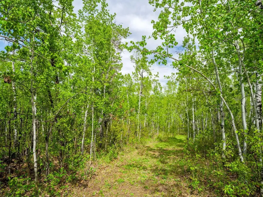 322253 112 Street W Rural Foothills County AB T1S 5H9