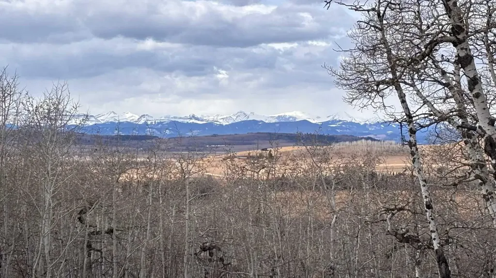 322253 112 Street W Rural Foothills County AB T1S 5H9