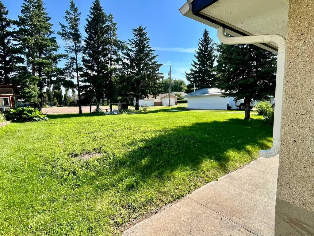 5316 55 Avenue Viking AB T0B 4N0