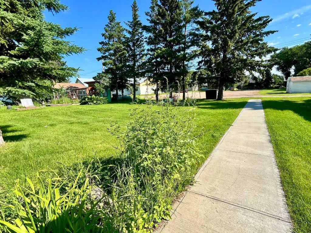5316 55 Avenue Viking AB T0B 4N0