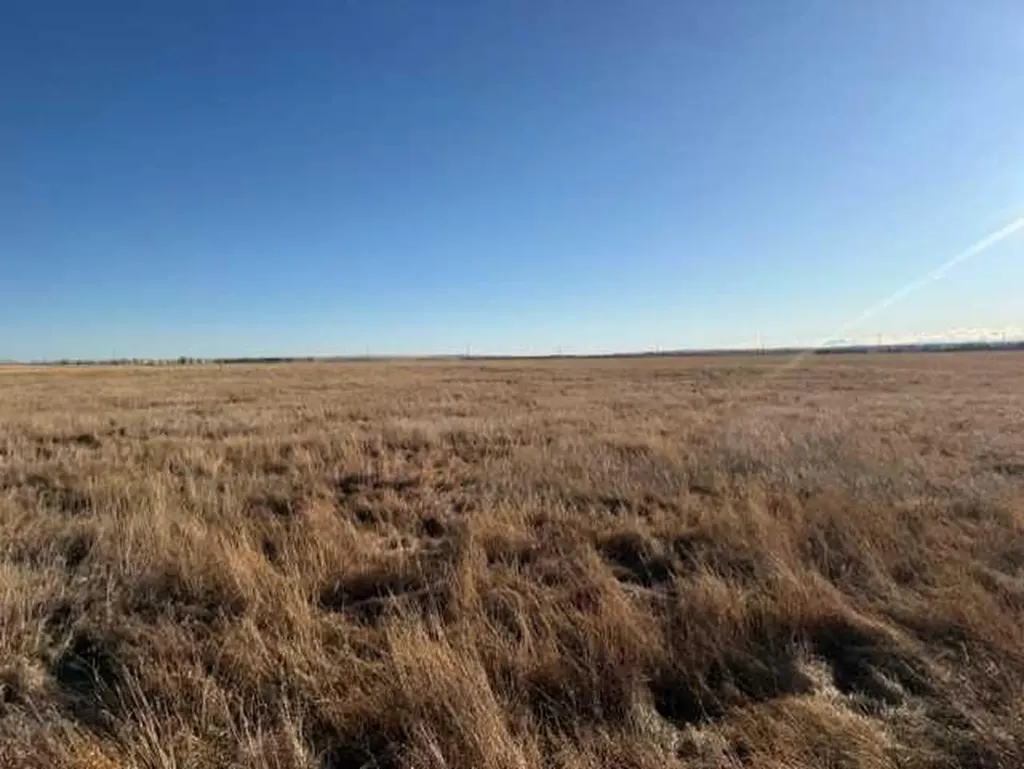 On Township Road 224 Rural Rocky View County AB T1X 1Y5