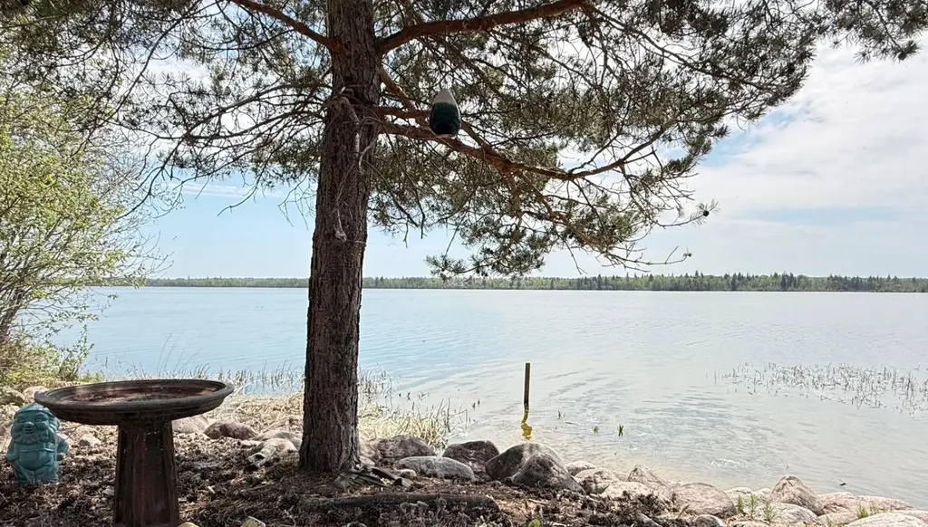 203 Northern Meadows Drive Lac Des Iles SK S0M 1A0