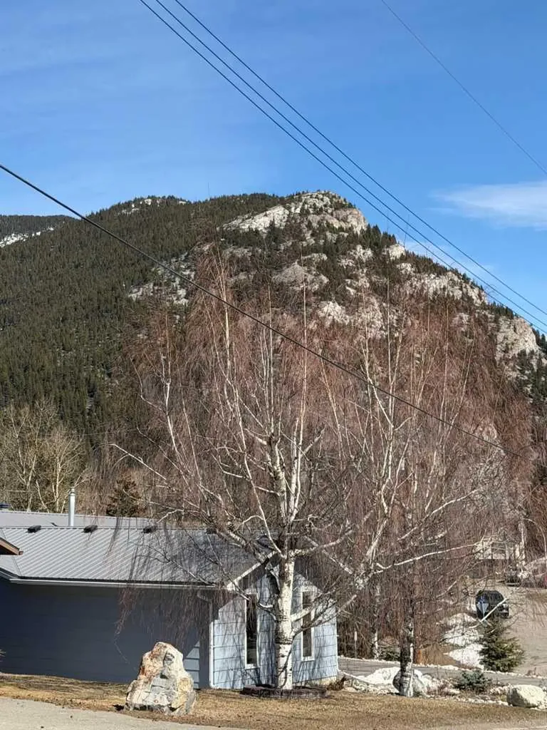 13521 15 Avenue Blairmore AB T0K 0E0