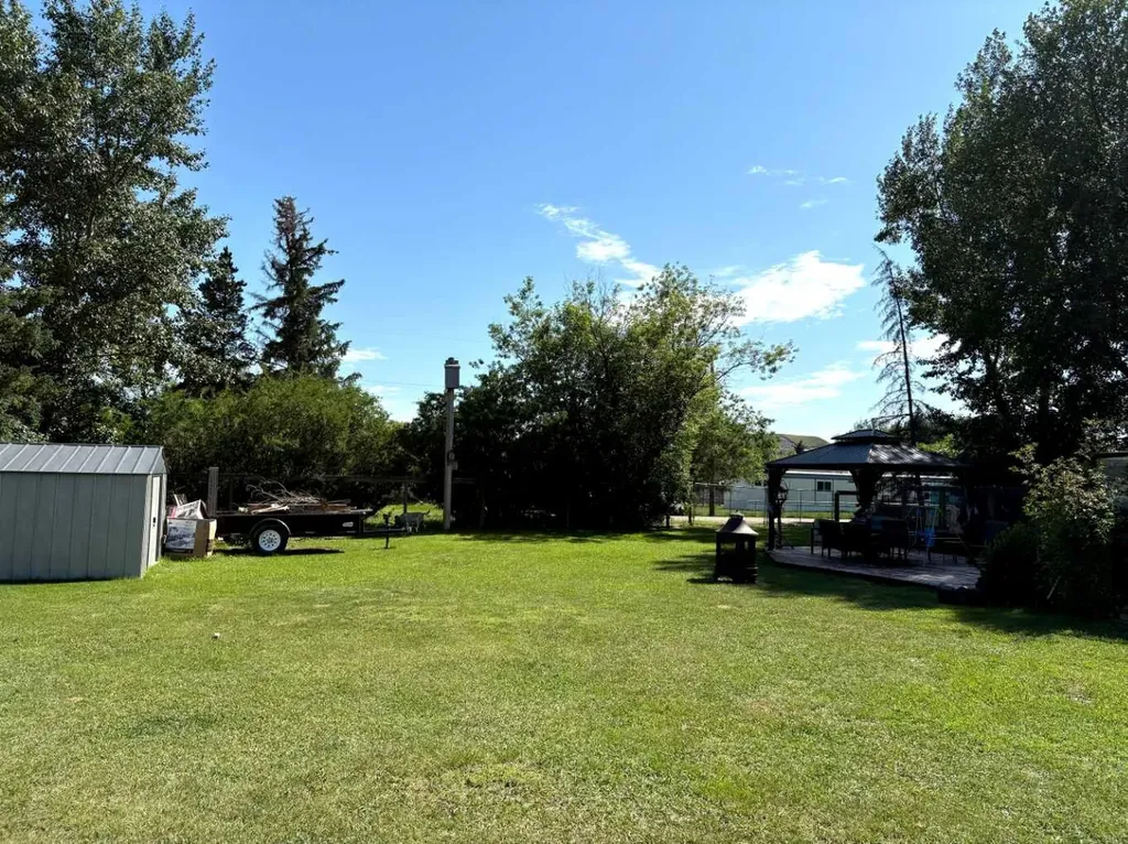 336 Mabbott Road Drumheller AB T0J 2V0