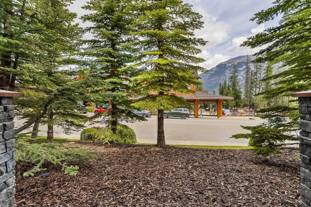 70 Dyrgas Gate Canmore AB T1W 3J6