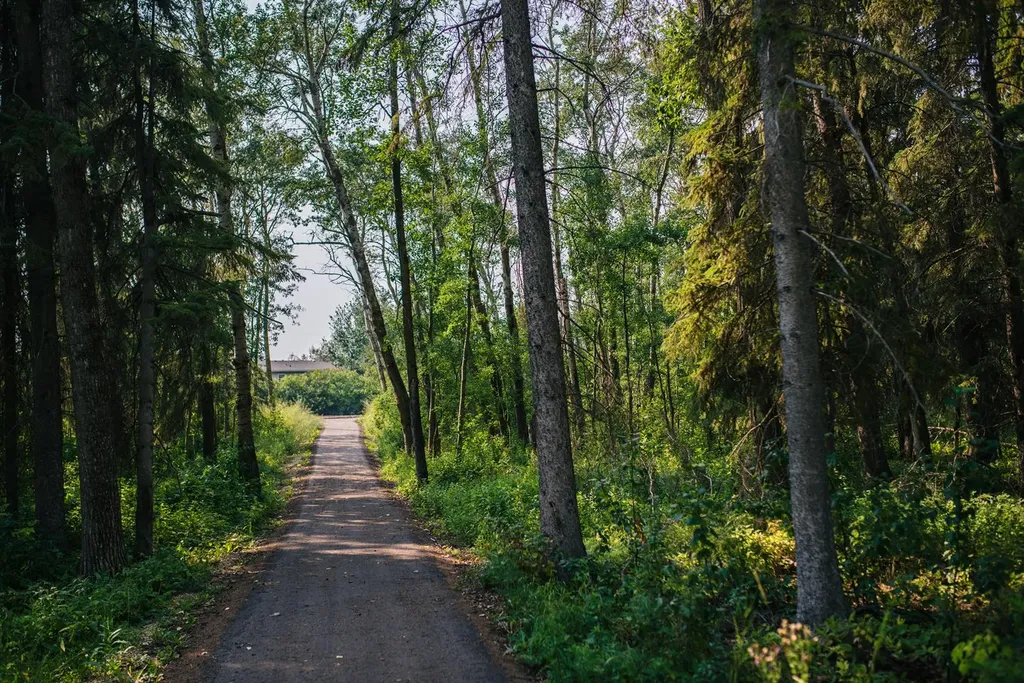 28124 Township Road 412 Rural Lacombe County AB T4L 0J6
