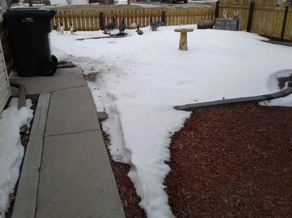 104 4 Avenue NE Milk River AB T0K 1M0