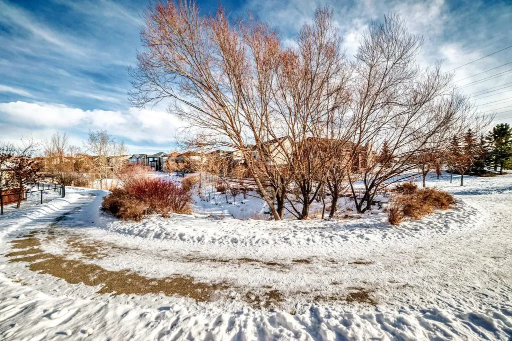 397 Rainbow Falls Drive Chestermere AB T1X 0L1