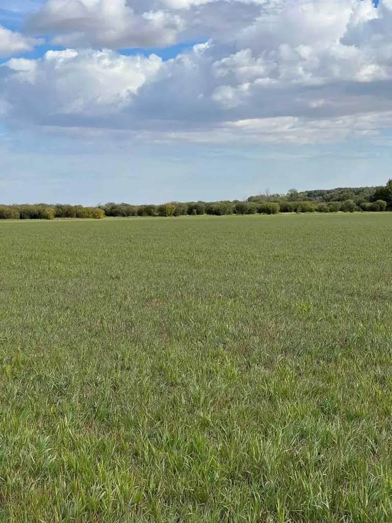 Portion Of NE 2 74 9 W6 & NW 2 74 9 W6 La Glace AB T0H 2J0