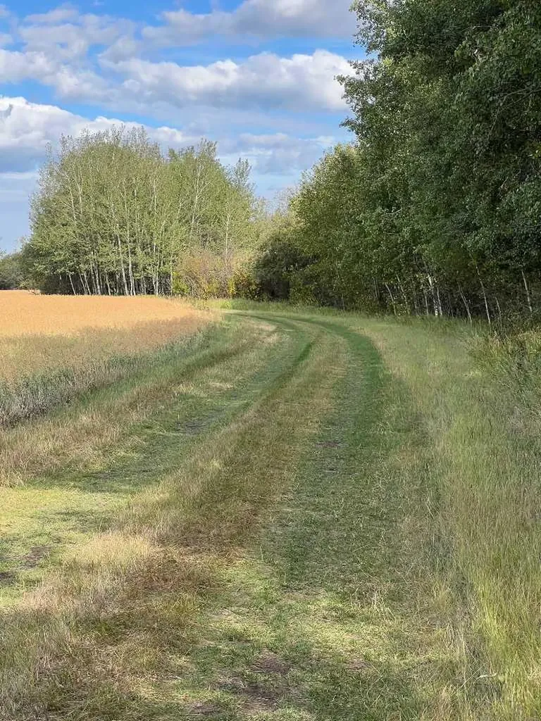 Portion Of NE 2 74 9 W6 & NW 2 74 9 W6 La Glace AB T0H 2J0