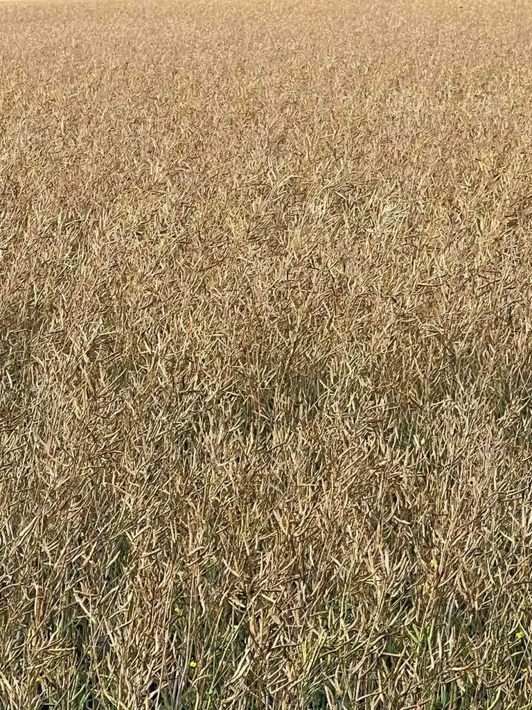 Portion Of NE 2 74 9 W6 & NW 2 74 9 W6 La Glace AB T0H 2J0