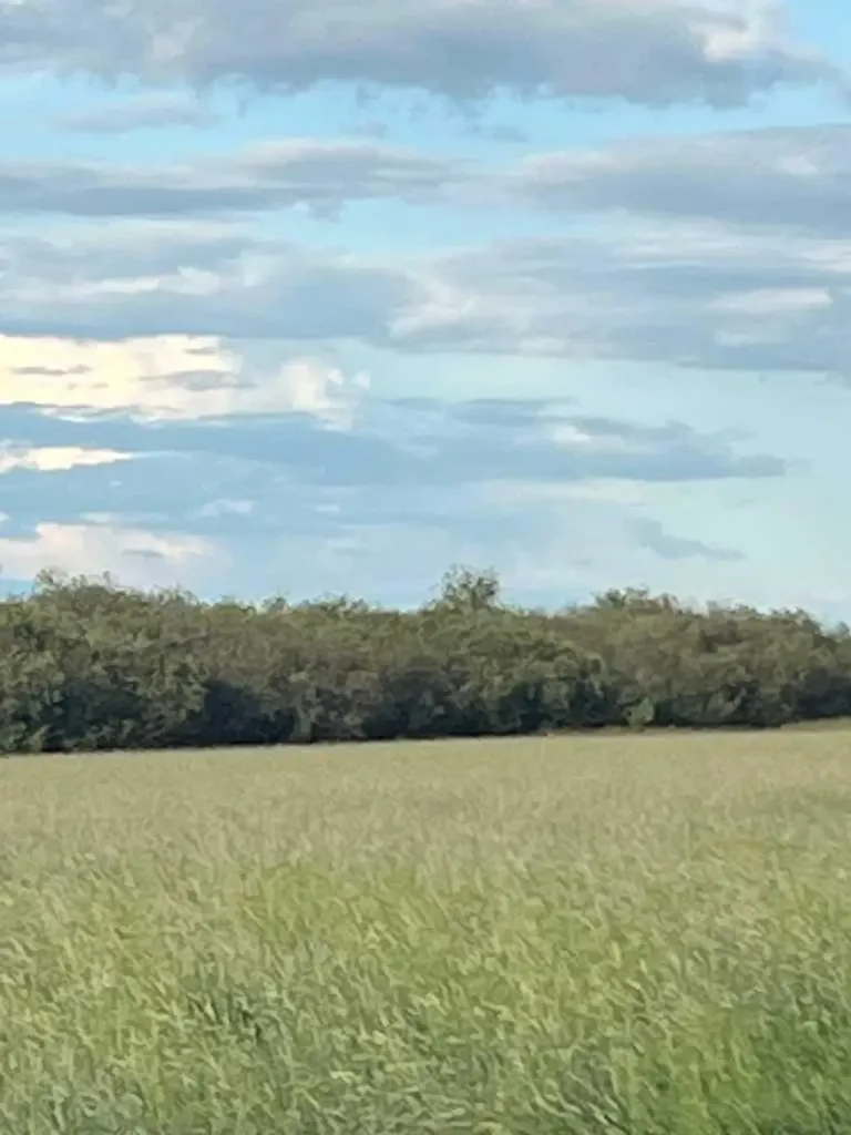 Portion Of NE 2 74 9 W6 & NW 2 74 9 W6 La Glace AB T0H 2J0