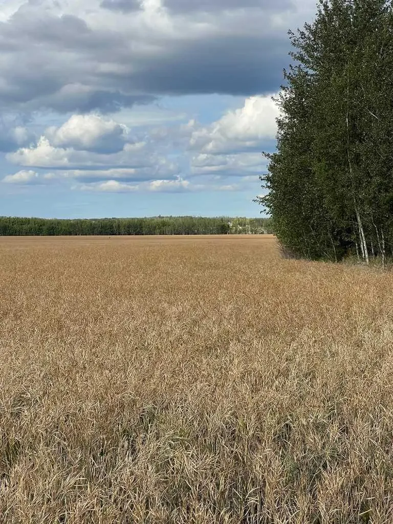 Portion Of NE 2 74 9 W6 & NW 2 74 9 W6 La Glace AB T0H 2J0