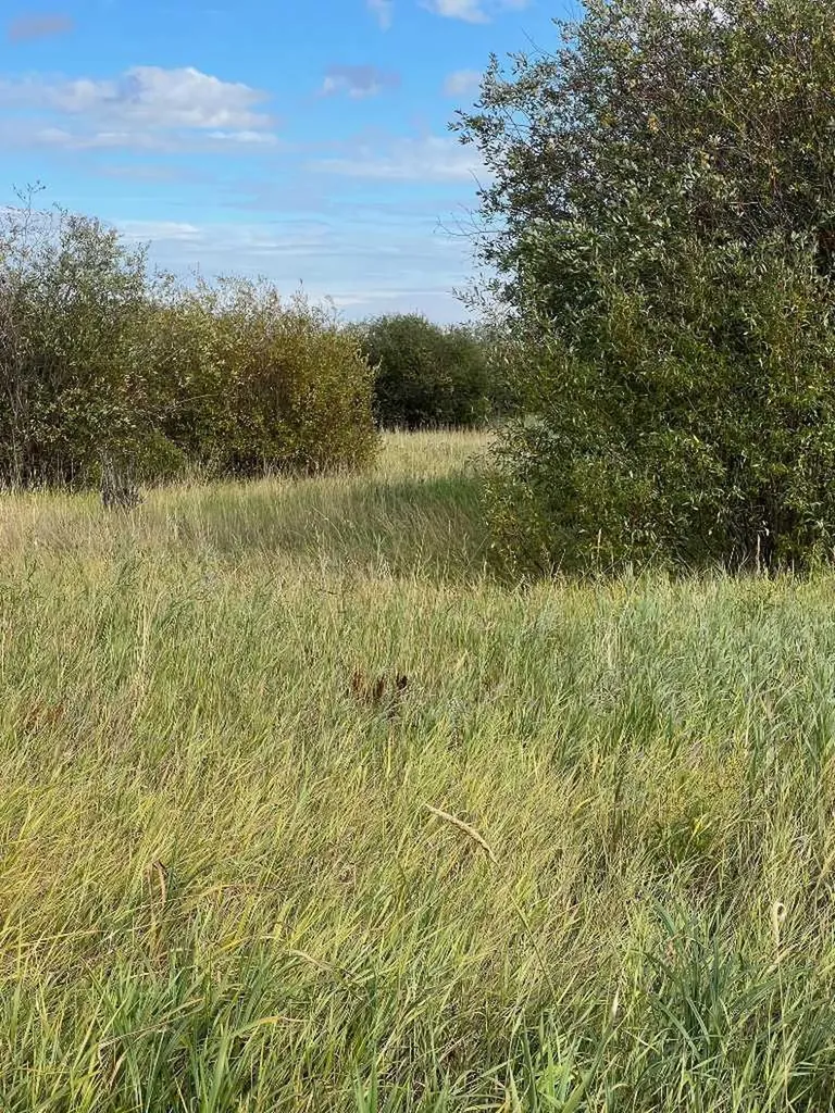 Portion Of NE 2 74 9 W6 & NW 2 74 9 W6 La Glace AB T0H 2J0