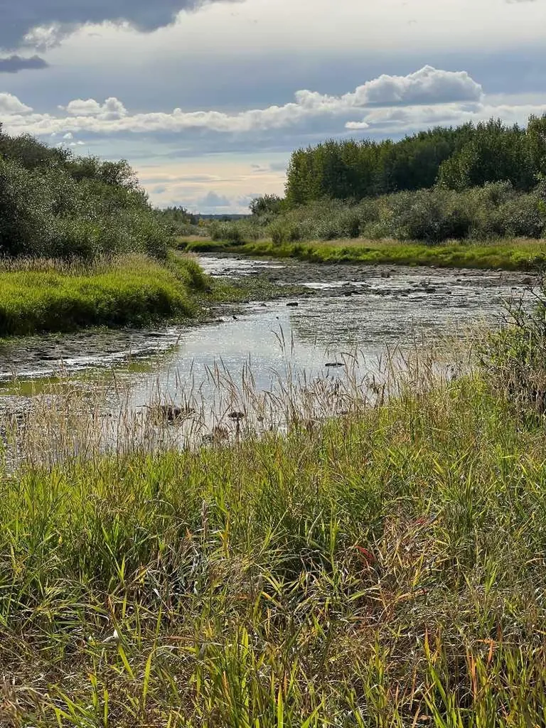 Portion Of NE 2 74 9 W6 & NW 2 74 9 W6 La Glace AB T0H 2J0