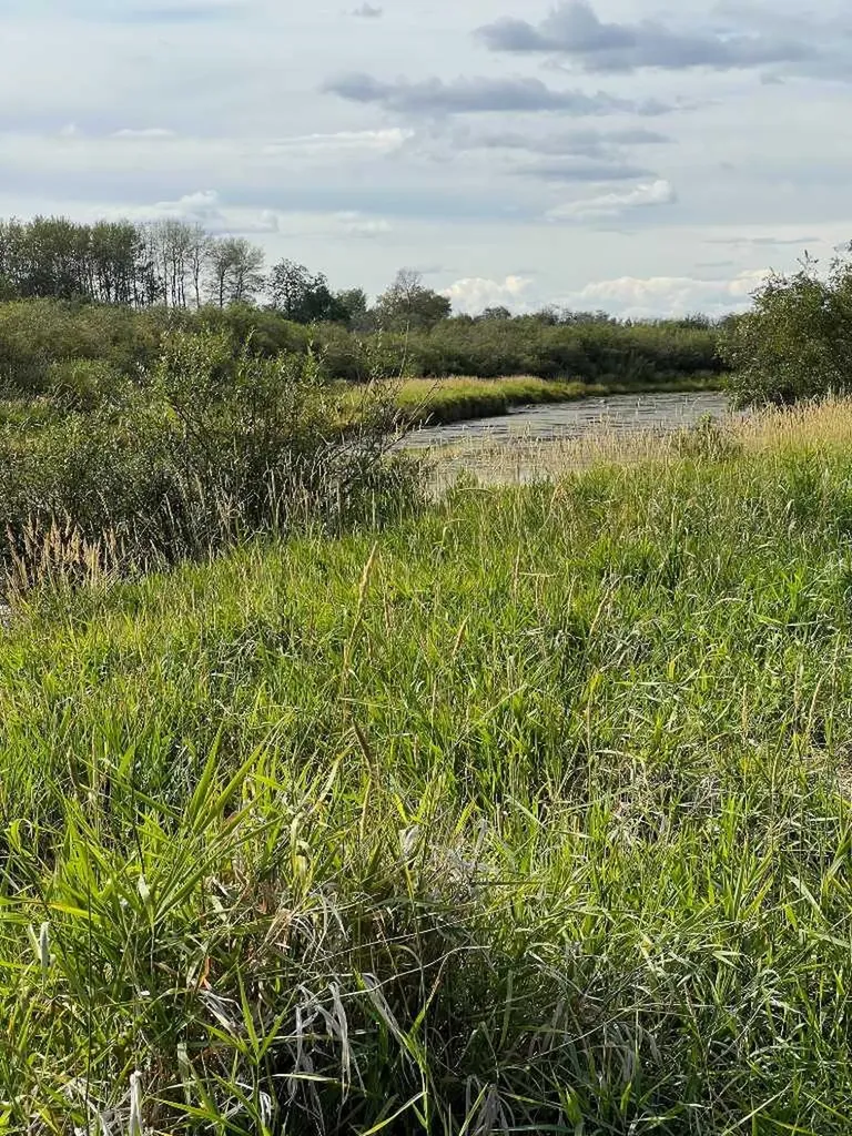 Portion Of NE 2 74 9 W6 & NW 2 74 9 W6 La Glace AB T0H 2J0