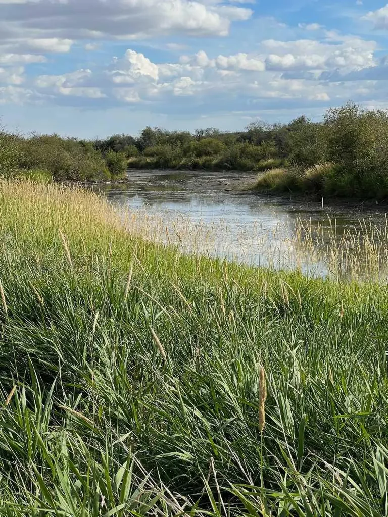 Portion Of NE 2 74 9 W6 & NW 2 74 9 W6 La Glace AB T0H 2J0