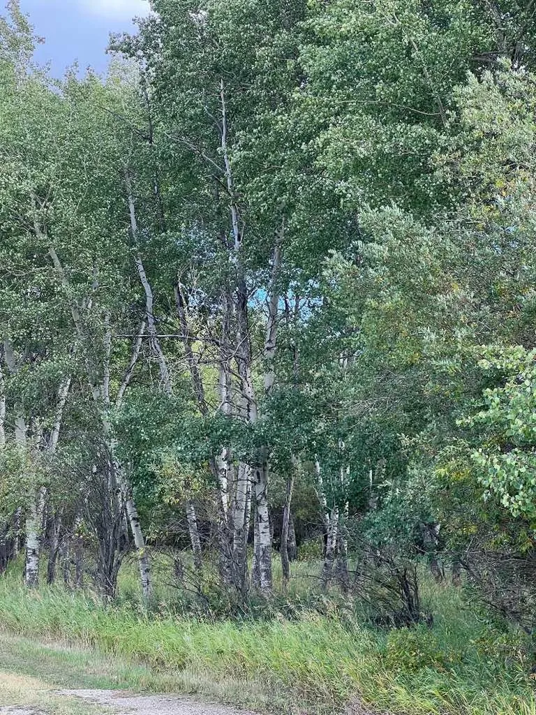 Portion Of NE 2 74 9 W6 & NW 2 74 9 W6 La Glace AB T0H 2J0