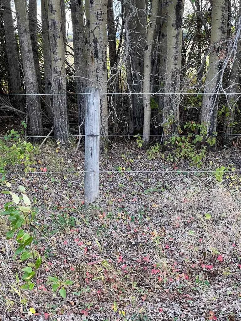 Portion Of NE 2 74 9 W6 & NW 2 74 9 W6 La Glace AB T0H 2J0