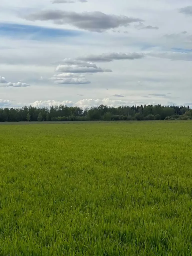 Portion Of NE 2 74 9 W6 & NW 2 74 9 W6 La Glace AB T0H 2J0