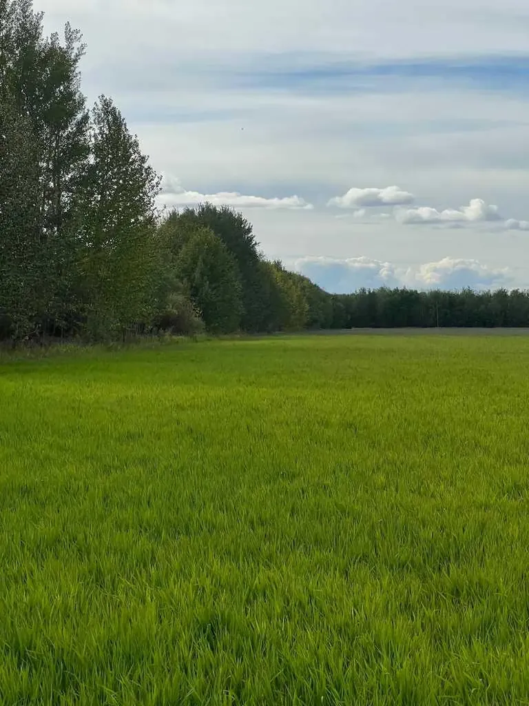 Portion Of NE 2 74 9 W6 & NW 2 74 9 W6 La Glace AB T0H 2J0