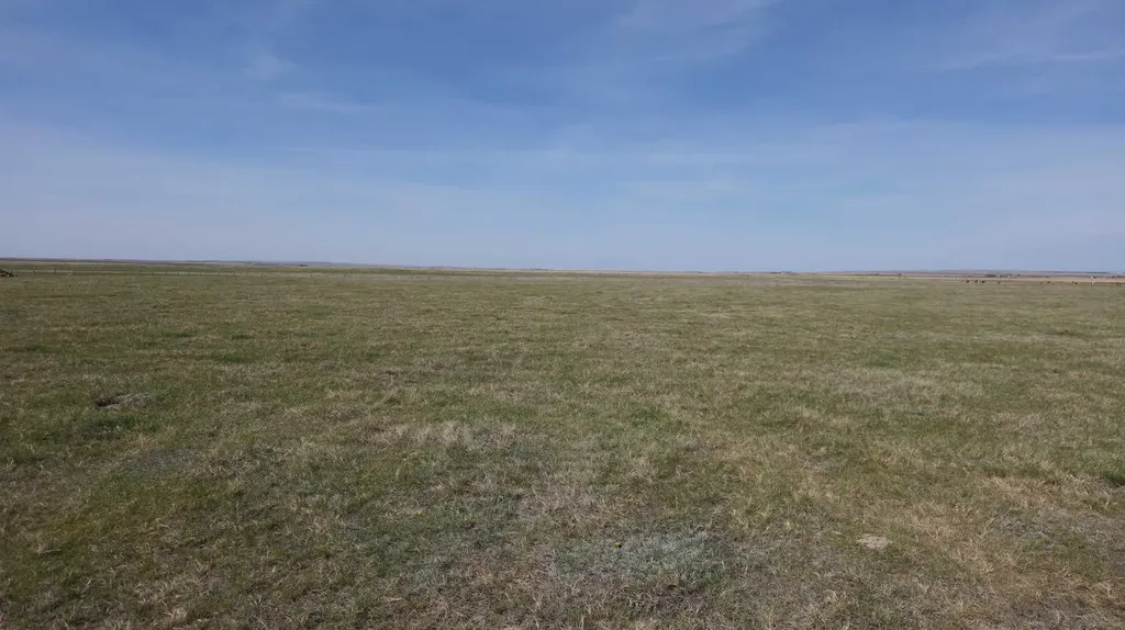 Vulcan County Rural Vulcan County AB T0L 2B0