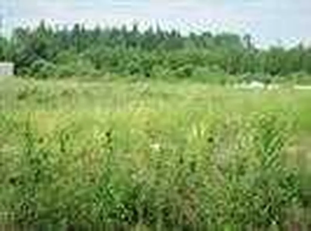 2010 Prospect Drive Wabasca AB T0G 2K0