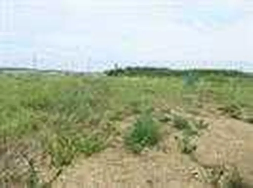 2010 Prospect Drive Wabasca AB T0G 2K0