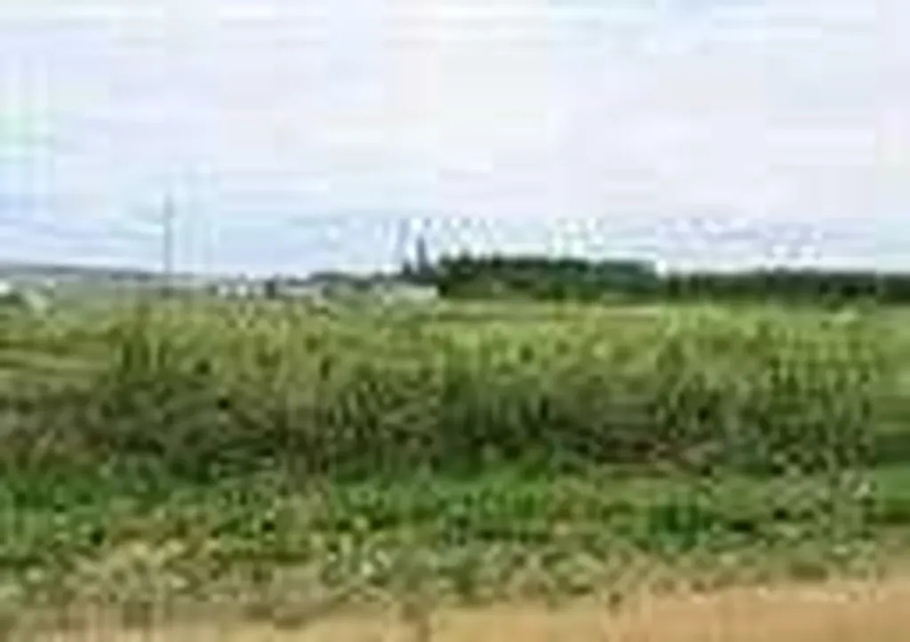 2010 Prospect Drive Wabasca AB T0G 2K0