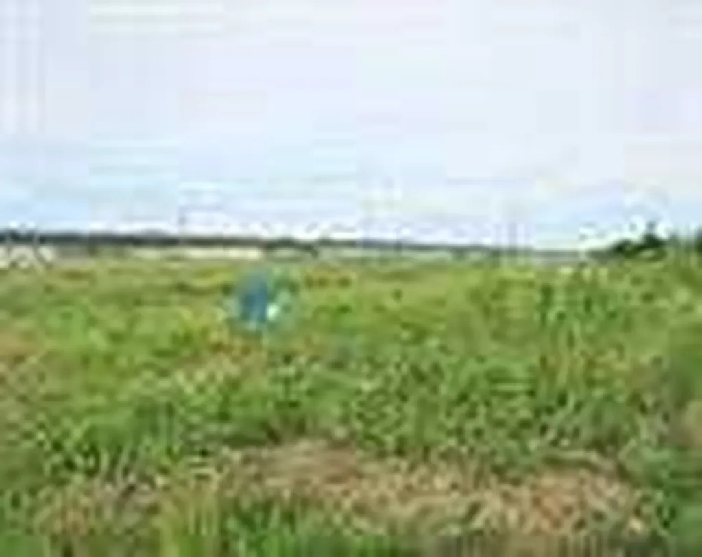 2010 Prospect Drive Wabasca AB T0G 2K0