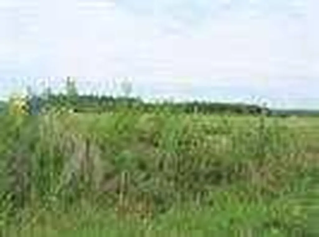 2010 Prospect Drive Wabasca AB T0G 2K0