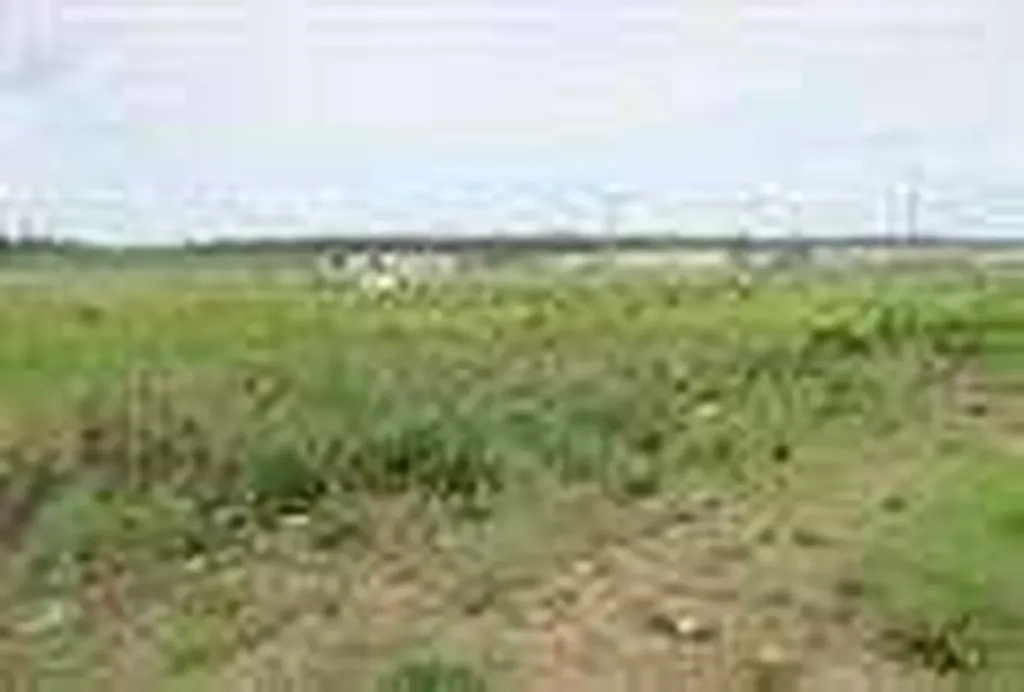2010 Prospect Drive Wabasca AB T0G 2K0