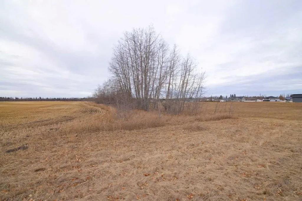 6510 Hwy 53 Highway Ponoka AB T4J 1K3