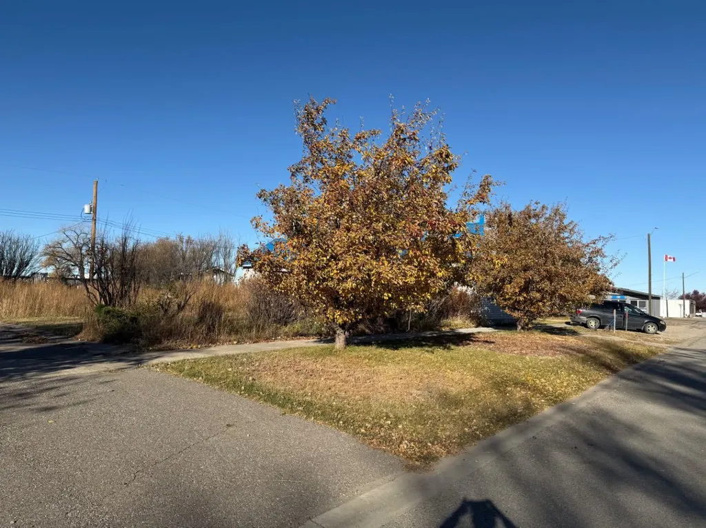 410 Grand Avenue Carmangay AB T0L0N0