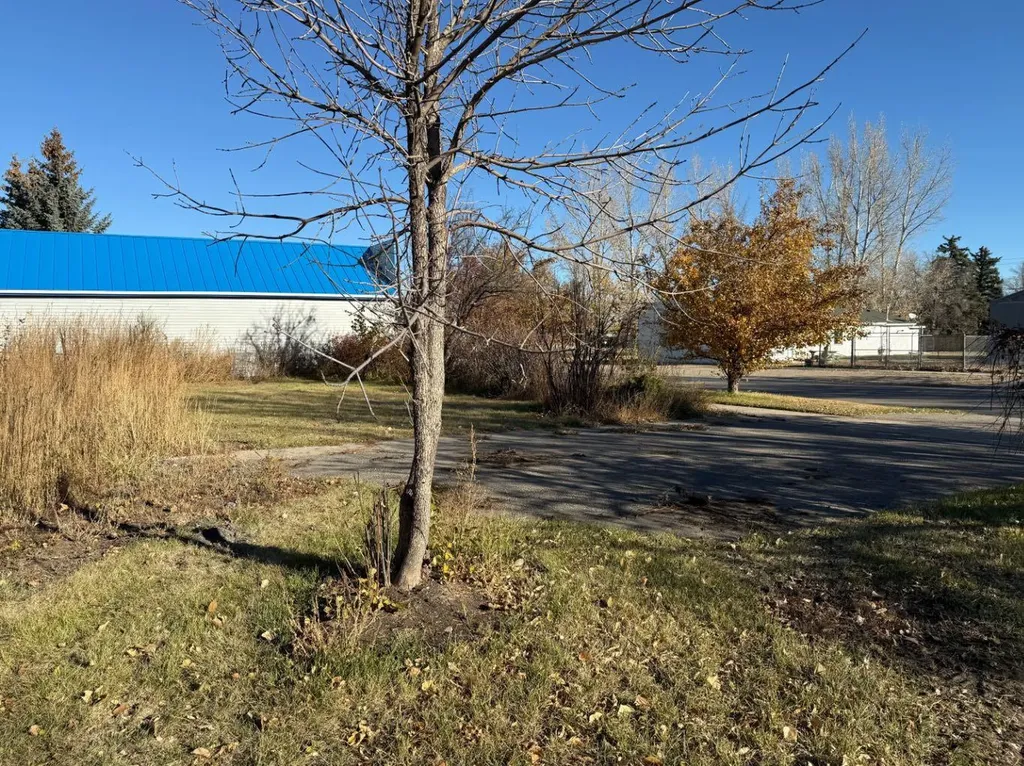 410 Grand Avenue Carmangay AB T0L0N0