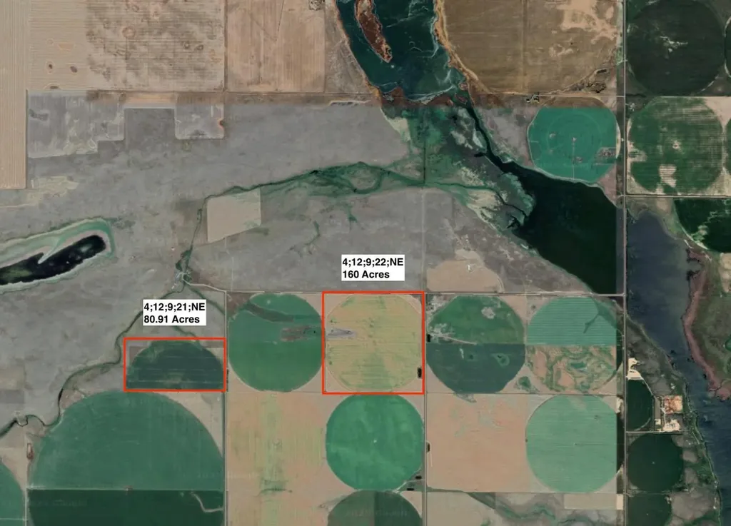 4;12;9;21;NE Rural Forty Mile No. 8 County Of AB T0K0G0