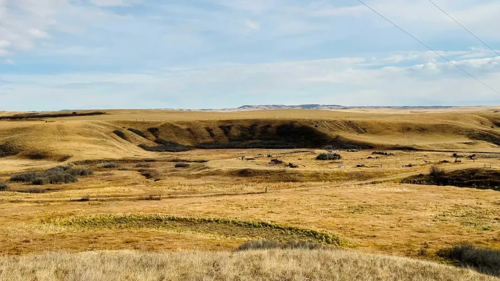 NE-S11-T30-R19-W4 Rural Starland County AB T0J 0Y0