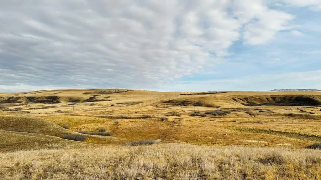 NE-S11-T30-R19-W4 Rural Starland County AB T0J 0Y0