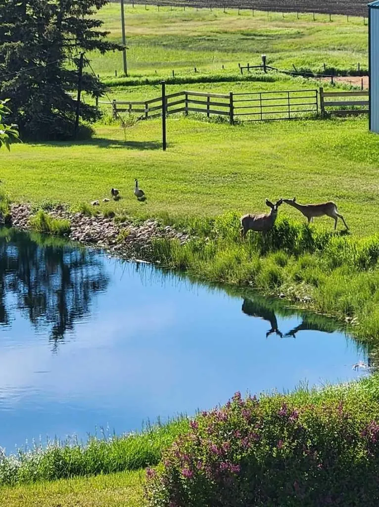 270168 Range Road 283 Rural Rocky View County AB T4A2S9
