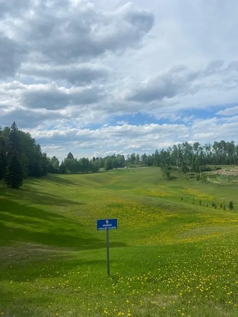 6 Hidden Valley Close Rural Clearwater County AB T4T 2A4