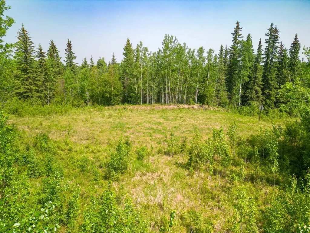Lot 16 Estates Of East Mountain Rural Woodlands County AB T7S 1N9