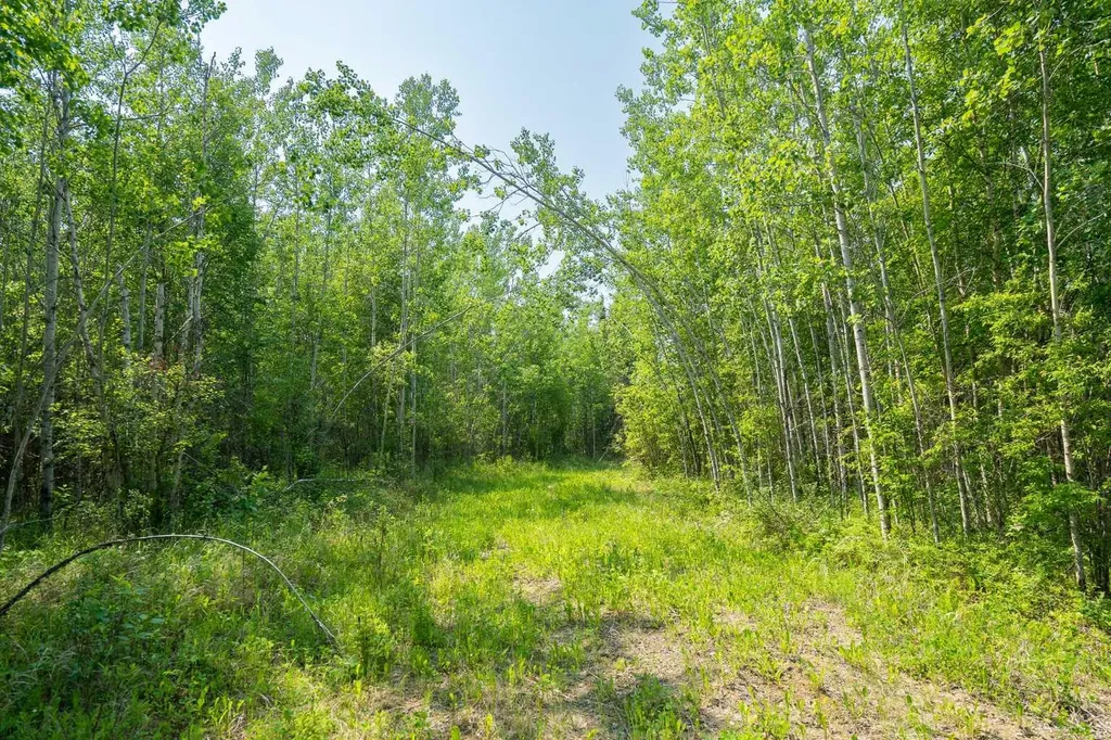 Lot 16 Estates Of East Mountain Rural Woodlands County AB T7S 1N9