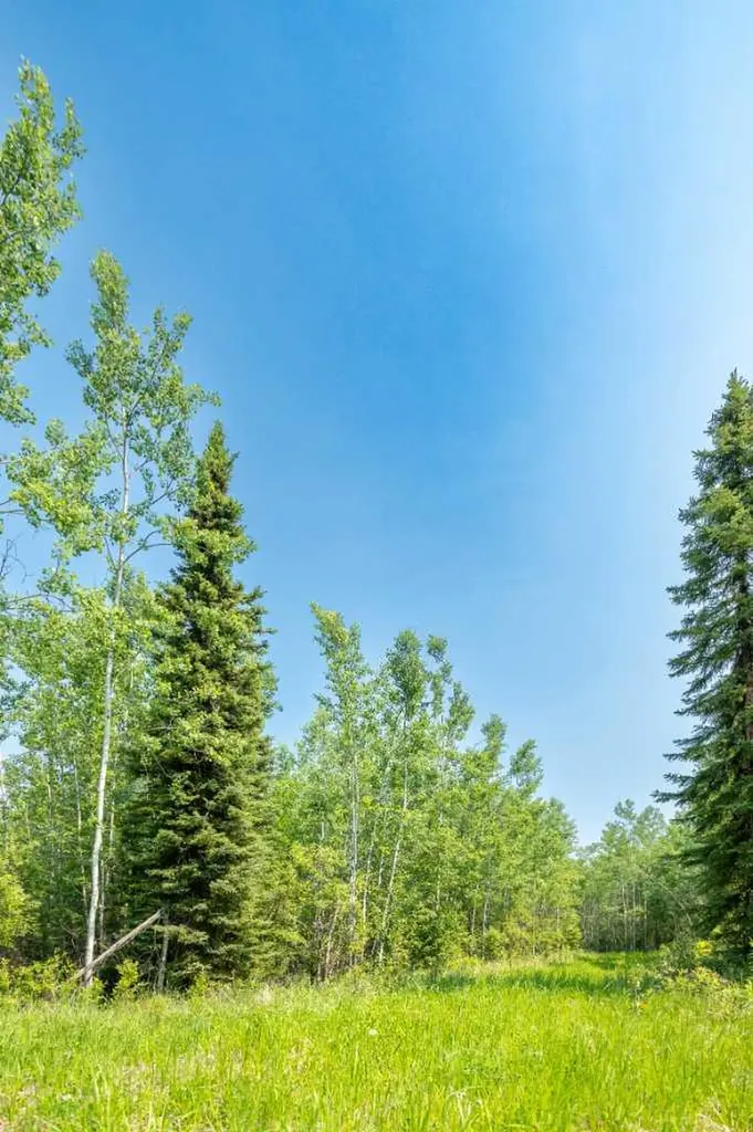 Lot 16 Estates Of East Mountain Rural Woodlands County AB T7S 1N9