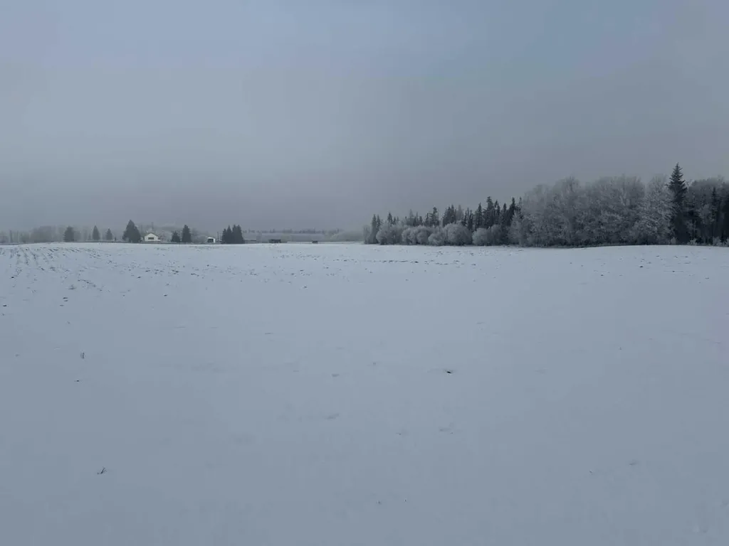 Twp Road 622 & Rr 213 Rural Thorhild County AB T0A3J0