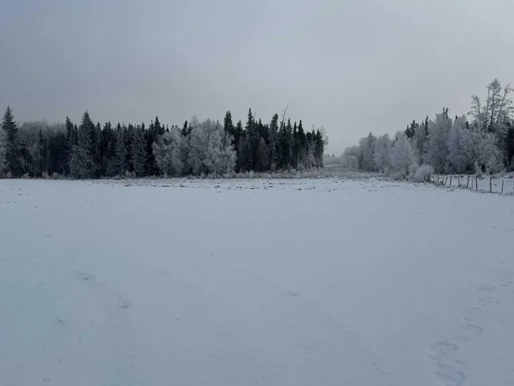 Twp Road 622 & Rr 213 Rural Thorhild County AB T0A3J0