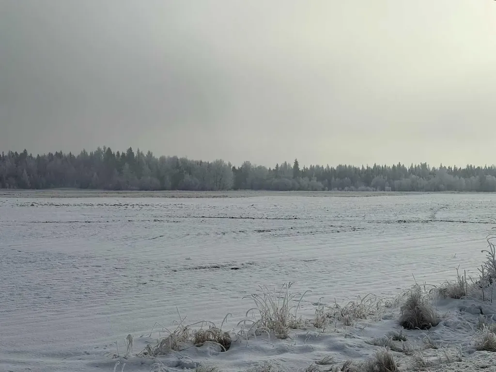 Twp Road 622 & Rr 213 Rural Thorhild County AB T0A3J0