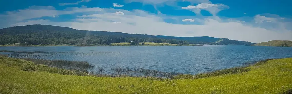 401 4 Street Rural Cypress County AB T0J 1C0