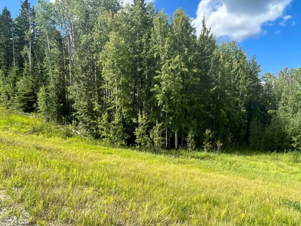 #43 River Ridge Estates Rural Yellowhead County AB T7E 3A6
